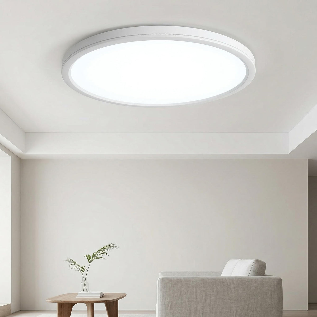 1PACK 20 Inch LED Flush Mount Ceiling Light Fixture (White / 20Inch-1Pack)