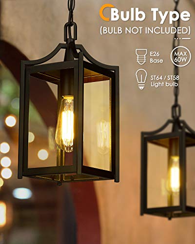 Outdoor Pendant Lights for Porch (Black / Small-Clear Glass)