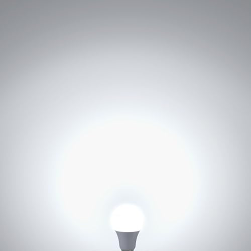 100 Watt Led Light Bulbs