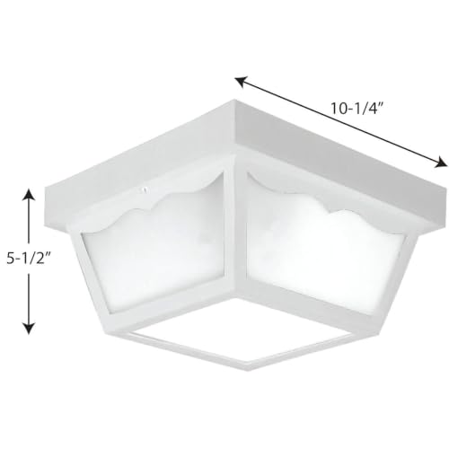 10.25" 2 Light Flush Mount Light (Textured Black / 10.25-Inch Diameter x 5.5-Inch Height / 2-Light)