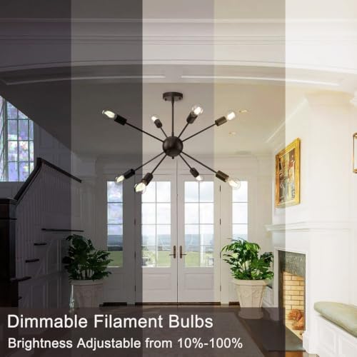 12 Pack A19 Vintage LED Edison Bulbs