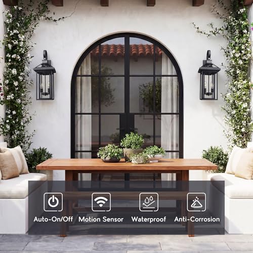 22.6'' Motion Sensor Exterior Wall Light (Black - Seeded Glass / 22.6 Inch - Motion Sensor)