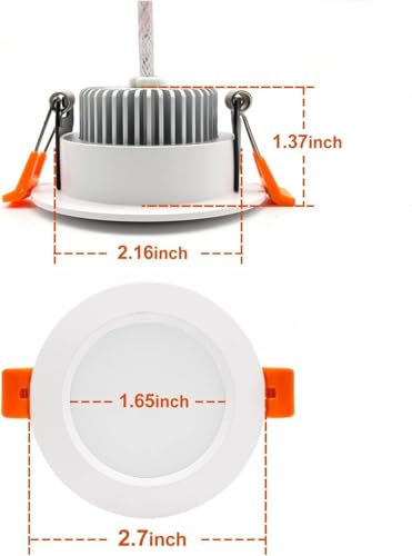 2 Inch LED Recessed Lighting (4000k (Natural White) / 24 Pack (White))