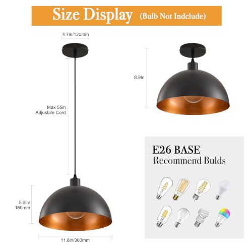 Plug in Pendant Light