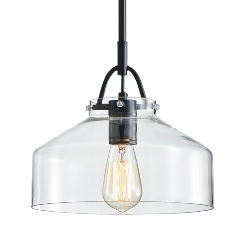 Pendant Chandelier Light with Glass Shade