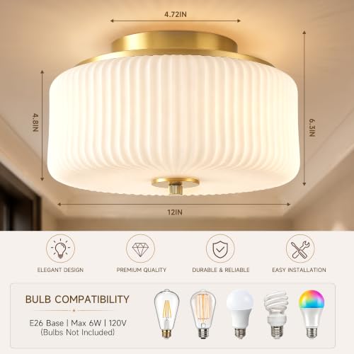 Flush Mount Ceiling Light with 12'' Milk Ribbed Glass Shade for Schoolhouse (Gold/Milk-Flush Mount)