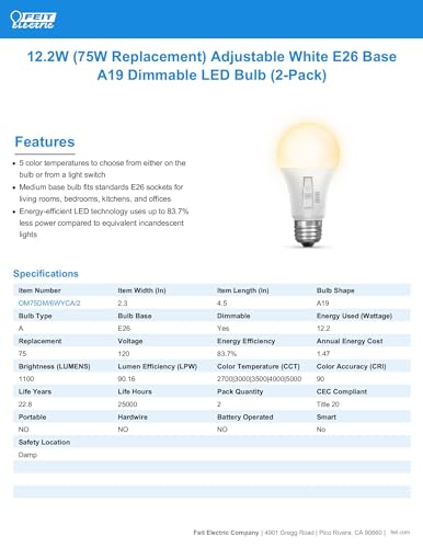 LED Light Bulbs (A19 - 2 Pack)