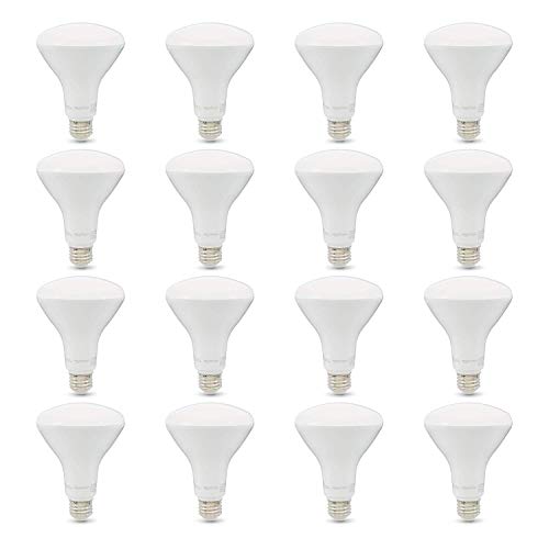 BR30 LED Light Bulb (Soft White / 16 Count (Pack of 1) / 65W Equivalent)