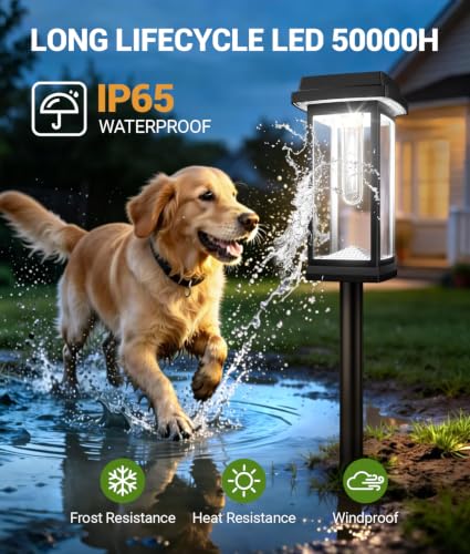 Solar Pathway Lights Outdoor
