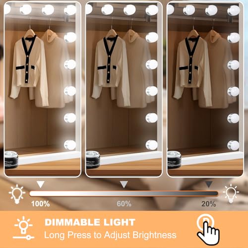 Vanity Mirror with Lights (White / 32"L x 24"W)