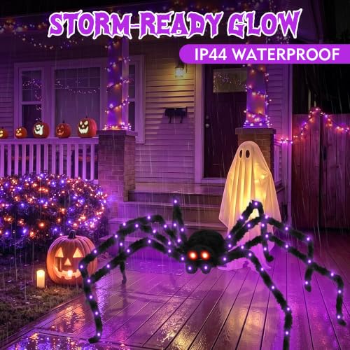 Halloween Spider Lights