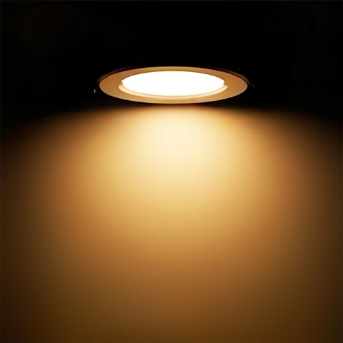 12 Pack BR30 Flood Light Bulb Indoor