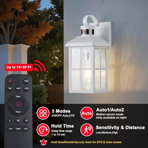 Porch Lights Outdoor with Remote (1 White RW)