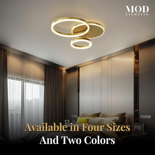 Chloe Flush Mount Ceiling Light (Black Ash / 2 Circles / Warm White)