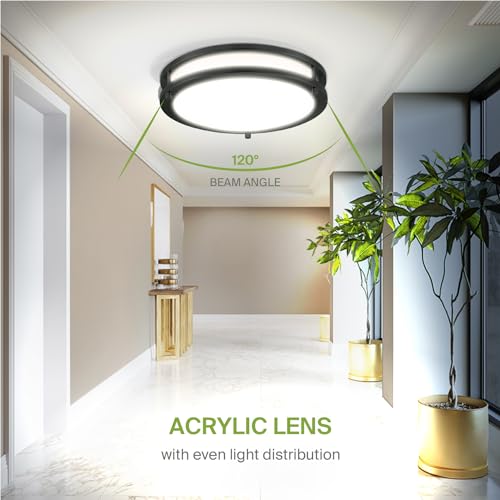 LED 12" Round Flush Mount Lighting (Black)