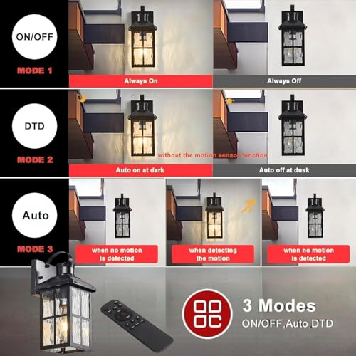 Porch Lights Outdoor with Remote (1 Black RW)