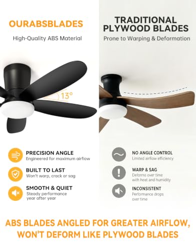 Low Profile Ceiling Fan with Light (Black)