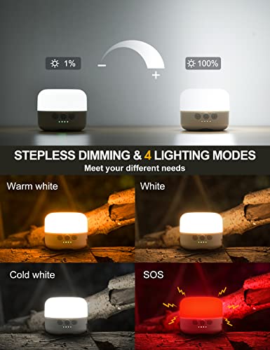 LED Camping Lantern Rechargeable 1000LM (White)