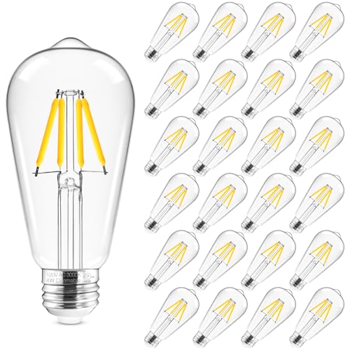 Edison Bulbs Dimmable (Soft White)