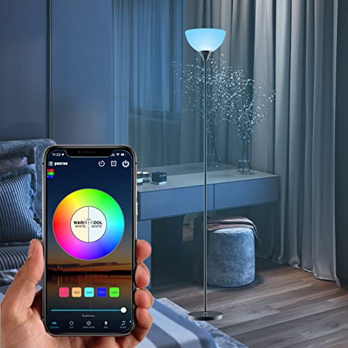RGB Floor Lamp (Matte Black RGB)