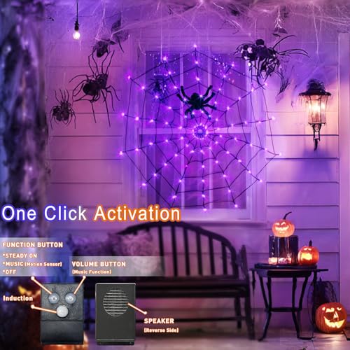 Halloween Decorations (purple/orange lights with music)