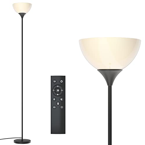 Floor Lamp Remote Control (Matte Black)