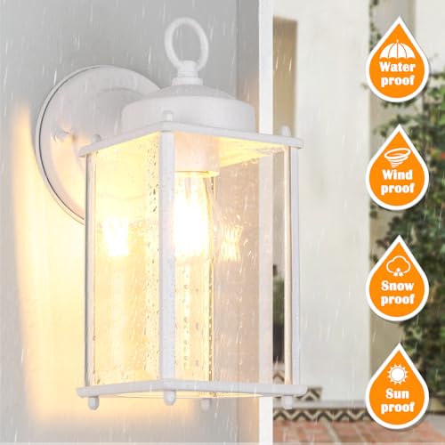 Large Outdoor Wall Lantern (White / 10.24 inch)
