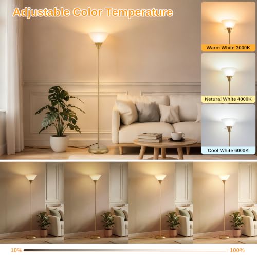 Floor Lamp for Living Room (Gold)
