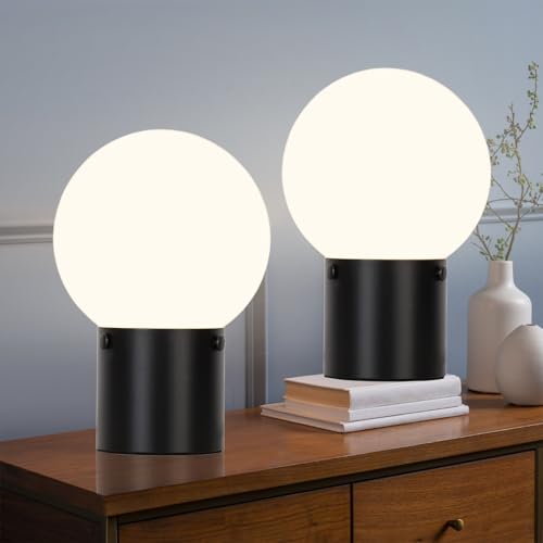 Small Table Lamp with Frosted Glass Globe Lamp Shade