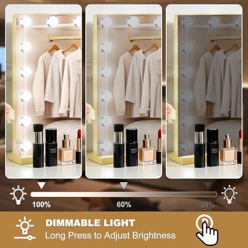 Vanity Mirror with Lights (Gold / 28"L x 20"W)
