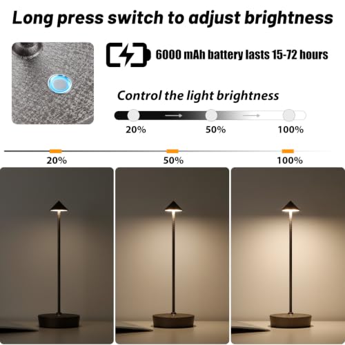 2Pack Rechargeable Cordless Table Lamp (2pack Lce Flower Brown)