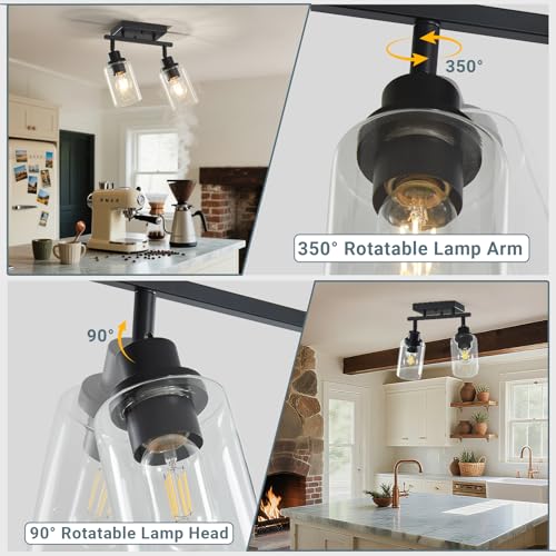 2 Light Kitchen Track Light Fixtures Ceiling Vanity Lights Black (Black / 2-Light)