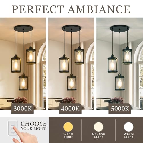 Matte Black 3 (Black + Clear Glass / 3-Light Ceiling Chandelier)
