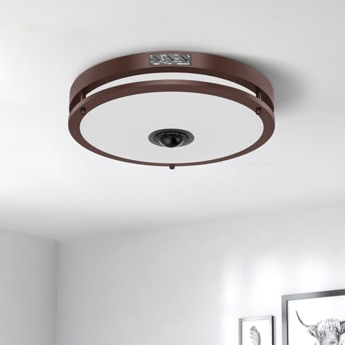 Outdoor Ceiling Light