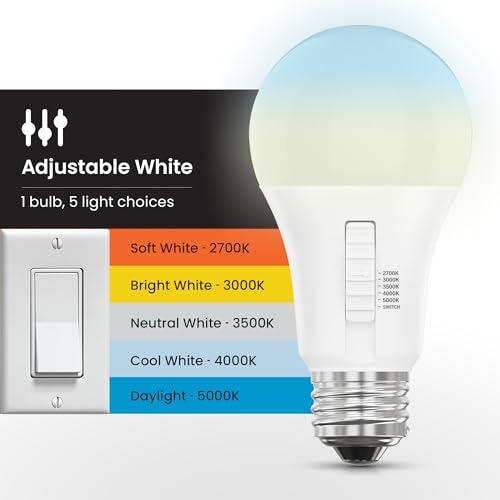 LED Light Bulbs (A19 - 2 Pack)