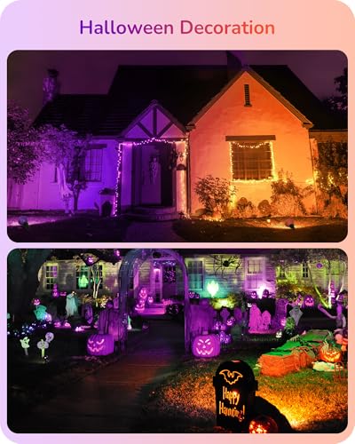 Halloween PAR38 LED Flood Purple&Orange Light Bulbs Dimmable 4Pack (Purple & Orange)