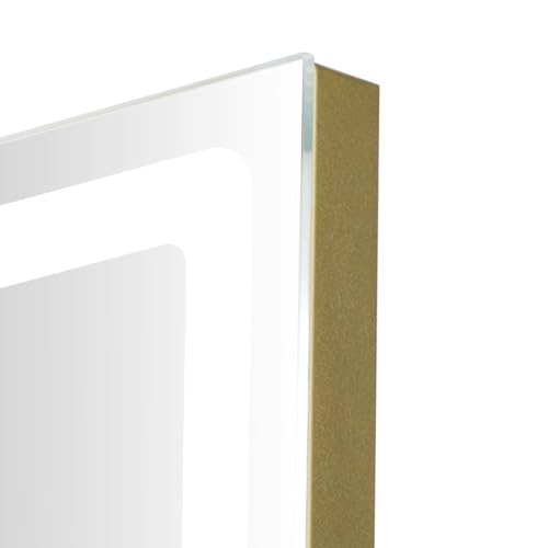 Vanity Mirror with Lights