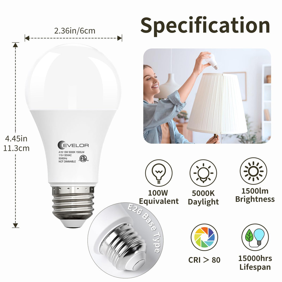 A19 LED Light Bulbs (Daylight 5000k / 4 Pcs)