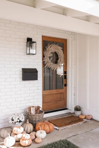 Ferris Outdoor Black Wall Sconce Light Fixture (Ferris Black)