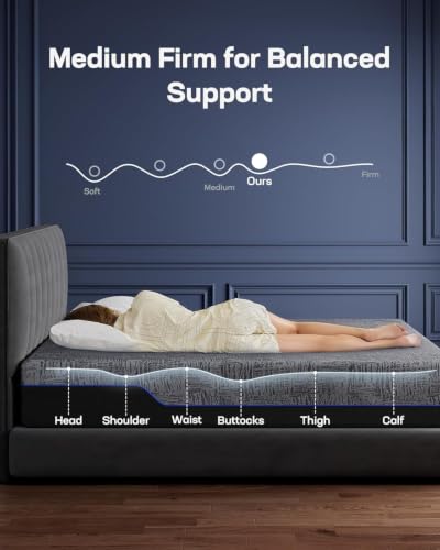 NS0 Adjustable Base with Mattress Set (Full / Adjustable Base with 12" Mattress)