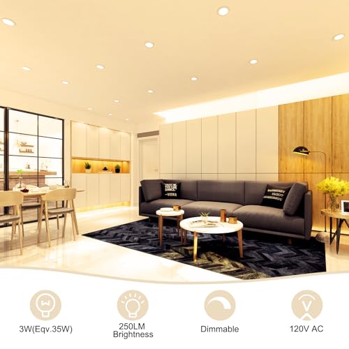 2 Inch LED Recessed Lighting (2700k (Ultra Warm White) / 4 Pack (White))