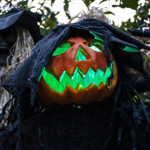 Standing Pumpkin Man