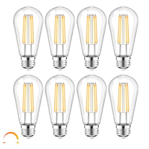 Vintage LED Edison Light Bulbs (8)