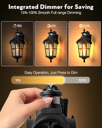 2 Pack Motion Sensor Outdoor Lights (Black / 2-pack)