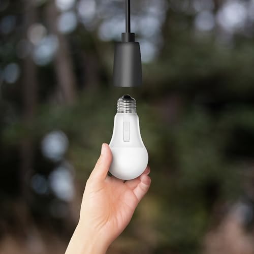 A19 LED Light Bulb