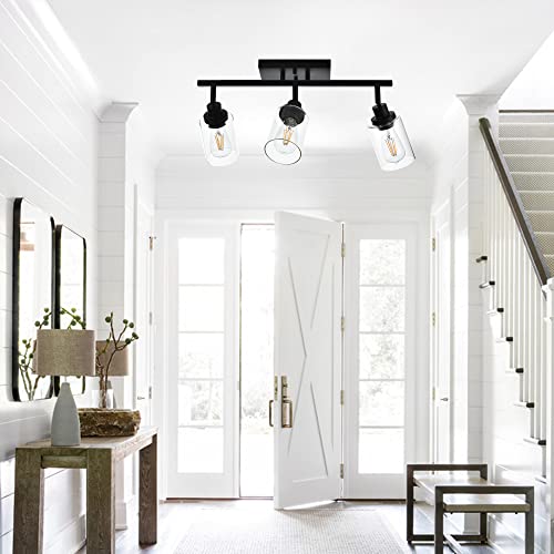 3 Light Bathroom Vanity Light Black with Rotatable Track Head (Black / 3-Light)