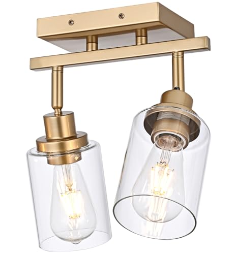 2 Light Track Lighting Fixtures Gold Finish (Gold / 2-Light)