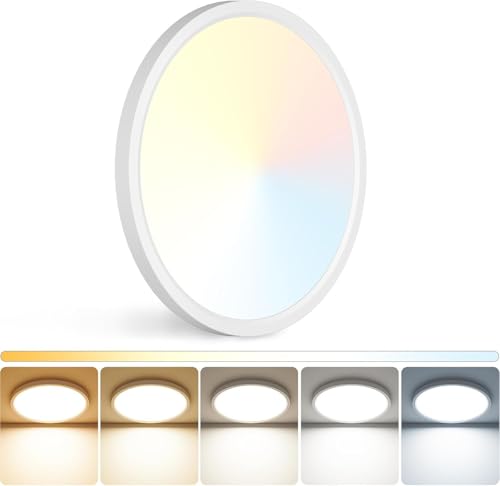 LED Ceiling Light