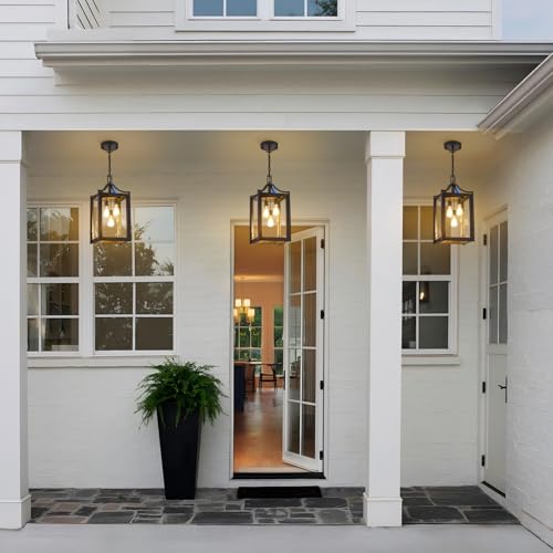Outdoor Pendant Lights for Porch (Black / Large-Clear Glass)