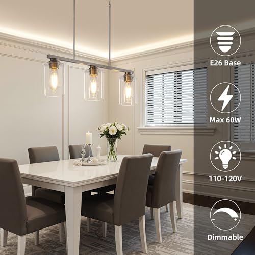 Dining Room Light Fixture